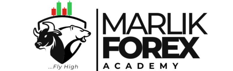 footer_logo